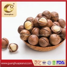 Best Quality Macadamia Nuts in Shell New Crop